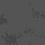 SOLUS011