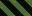 D_WT3