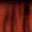 ORIFICE1