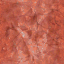 OVM008