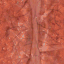 OVM010