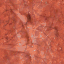OVM011